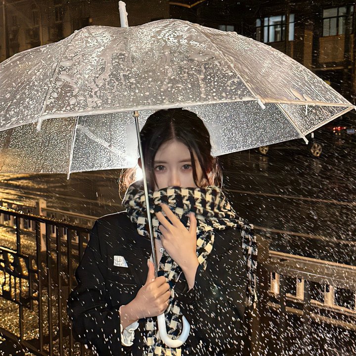 莉莉小姐的超完美日记海报